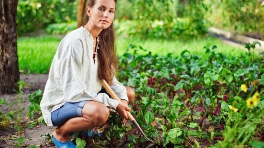 Urbani vrtovi osvajaju Osijek!