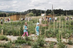 Samo tri slavonska grada imaju urbane vrtove