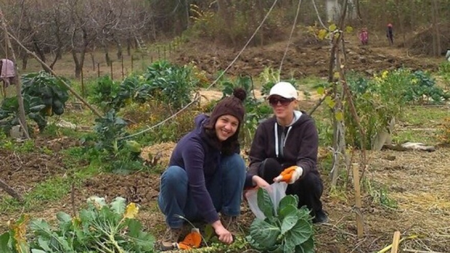 Upoznajte koncept zajedničkog baštovanstva