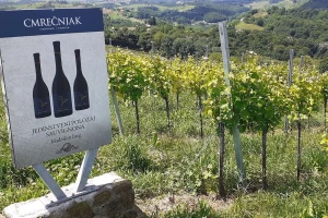 Kruno Filipović: Vinogradarske položaje Međimurja treba zaštititi