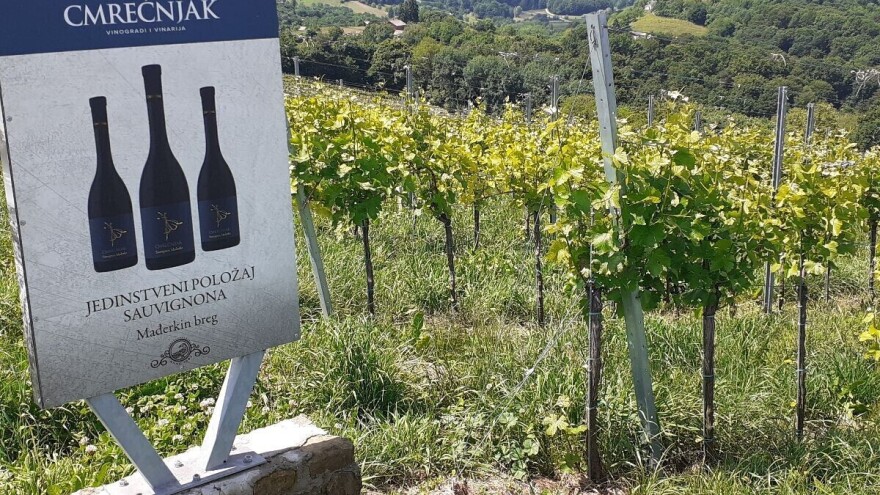 Kruno Filipović: Vinogradarske položaje Međimurja treba zaštititi