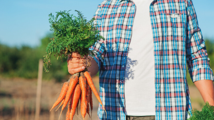 Poboljšana pravila za uvoz, izvoz, certifikaciju i kontrolu ekoloških proizvoda