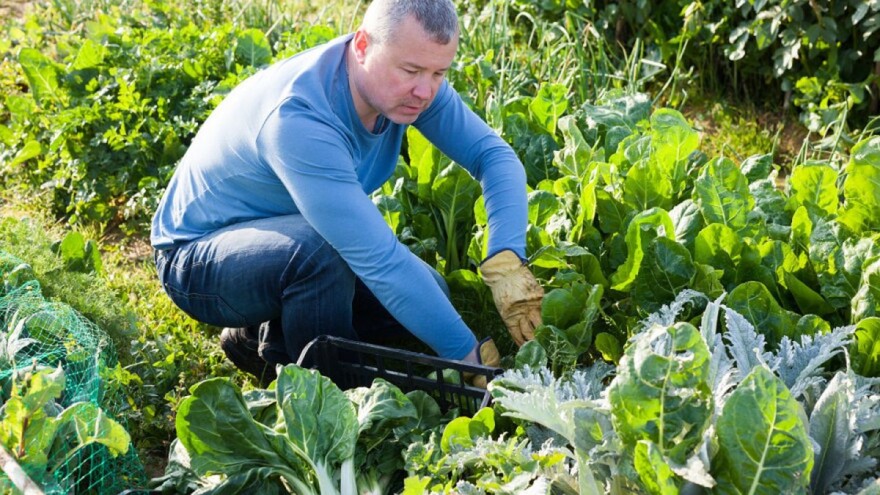 Uredba o eko proizvodnji prolongirana za još jednu godinu