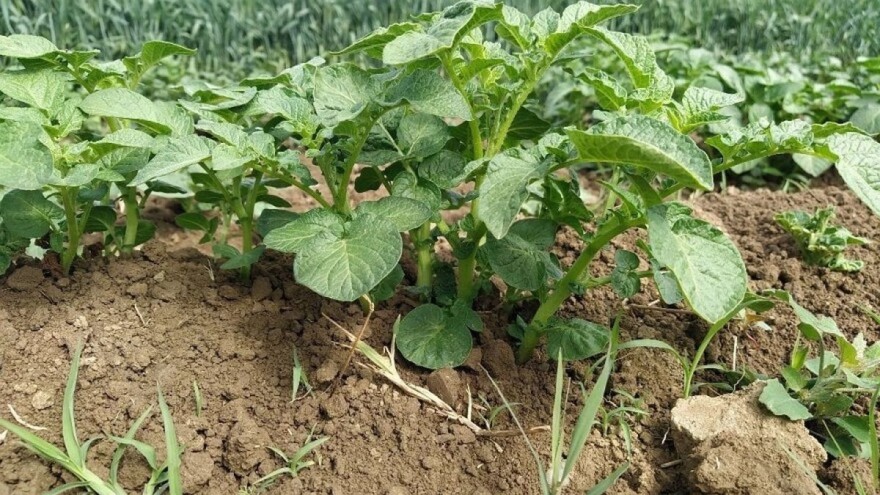 Zatražena odgoda nove uredbe za eko proizvodnju, ipak će to biti 2022.?