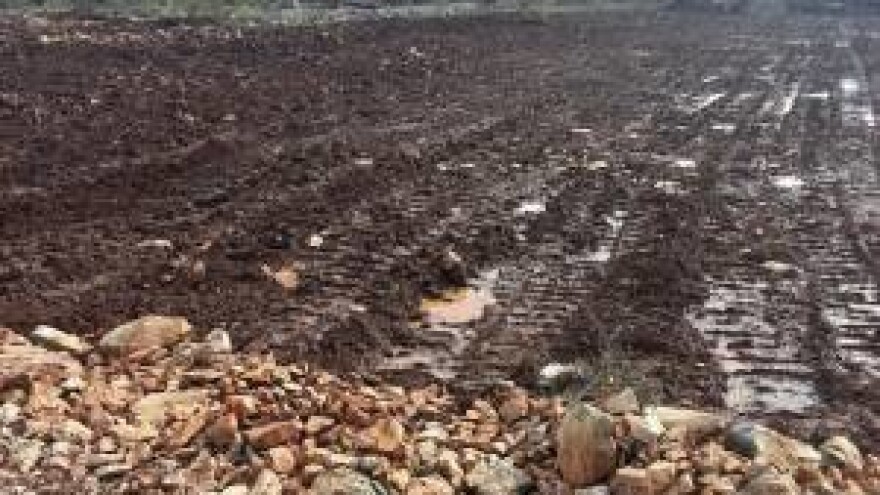 Poticanje razvoja povrtlarstva i voćarstva na otoku Šolti