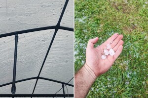 Birokratski apsurd: Oluja im uništila plastenike, ali zagrebački OPG-ovi nemaju pravo na naknadu šteta
