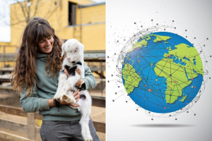 Ovčarstvo i kozarstvo: Od najranijih dana pripitomljavanja do savremenih izazova i prilika