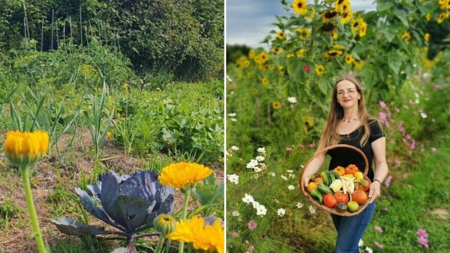 Želite da što duže uživate u povrtnjaku? Evo nekoliko saveta za razmenu kultura