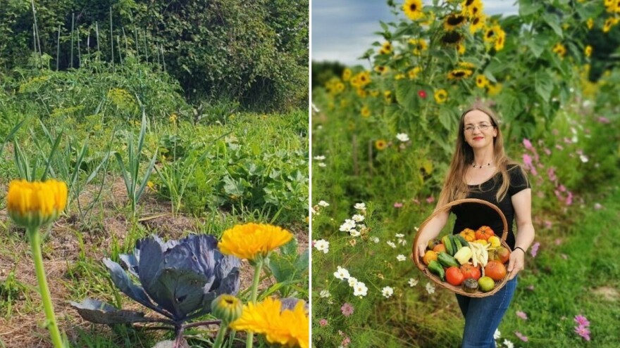 Želite što duže uživati u povrtnjaku? Evo par savjeta kako napraviti razmjenu kultura