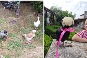 U Kokingradu održan prvi izbor za Koko Miss Hrvatske, evo pobjednice