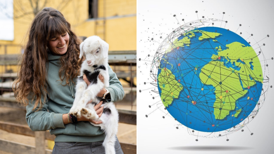 Ovčarstvo i kozarstvo: Od najranijih dana pripitomljavanja do savremenih izazova i prilika