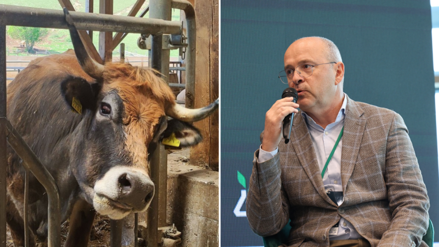 Kušeković: I bez Mercosura smo sami sebe dokusurili poljoprivrednim politikama