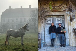 Od modnog producenta do konjušara: Viktor Drago i Jure Ahačič vode utočište za konje