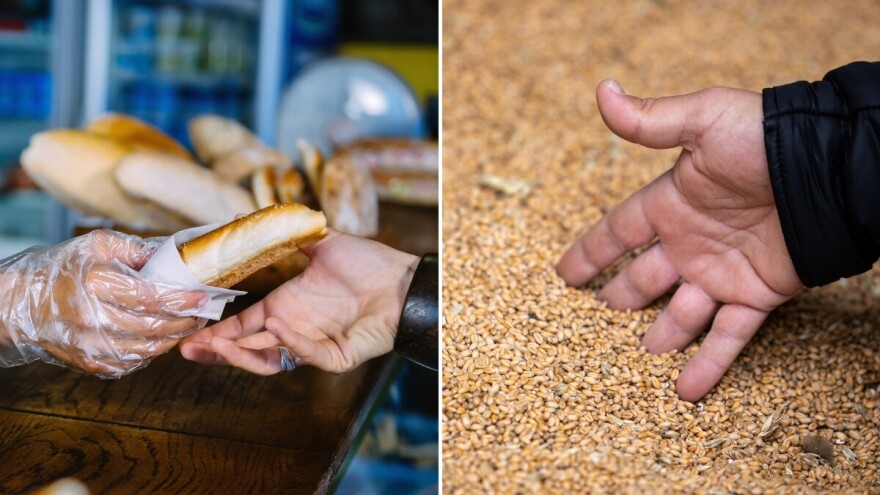 Kako je kifla od 20 grama postala skuplja od 1 kilograma pšenice?