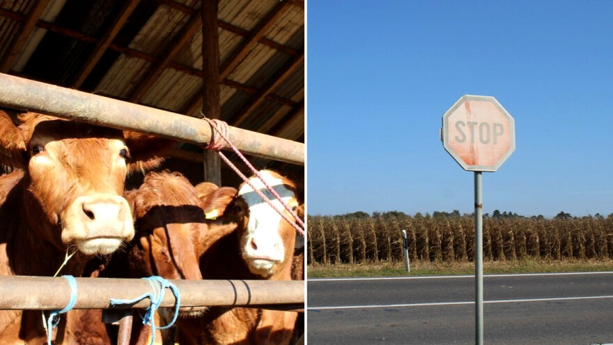 Negativni trendovi u poljoprivredi prijete hrvatskoj prehrambenoj sigurnosti