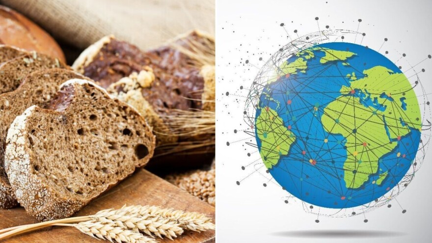 Raž: Žitarica bogate povijesti koja je odigrala ključnu ulogu u prehrani