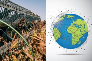 Sirak: Hranjiva i otporna žitarica bez glutena s globalnim utjecajem