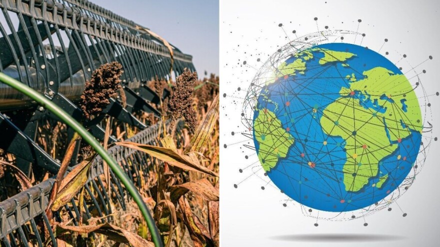 Sirak: Hranjiva i otporna žitarica bez glutena s globalnim utjecajem