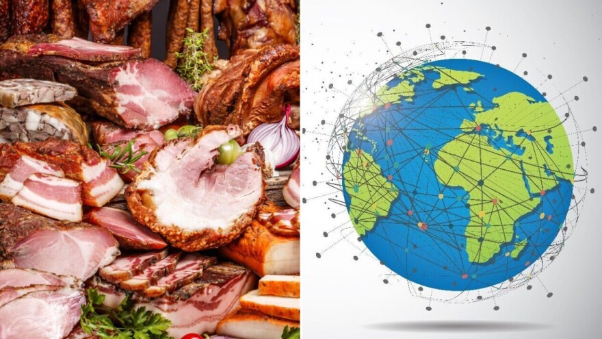 Evolucija svinja: Od neolita do globalne industrije i prerade svinjskog mesa