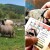 Ne leči se stado "od oka": Gde farmeri najčešće greše kod parazita?