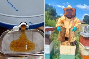 Pčelari napokon lakše dišu, Hodžić: "Drugo vrcanje dalo rezultate"