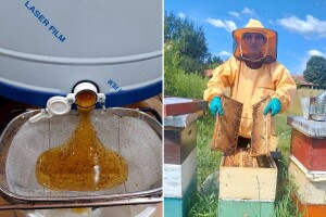 Pčelari napokon lakše dišu, Hodžić: "Drugo vrcanje dalo rezultate"