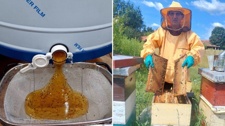 Pčelari napokon lakše dišu, Hodžić: "Drugo vrcanje dalo rezultate"