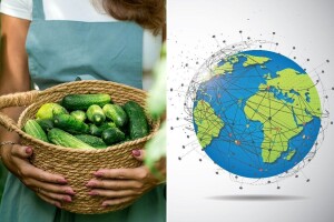 Jeli su ga Babilonci, spominje se u Epu o Gilgamešu, a u Europu su krastavac donijeli?