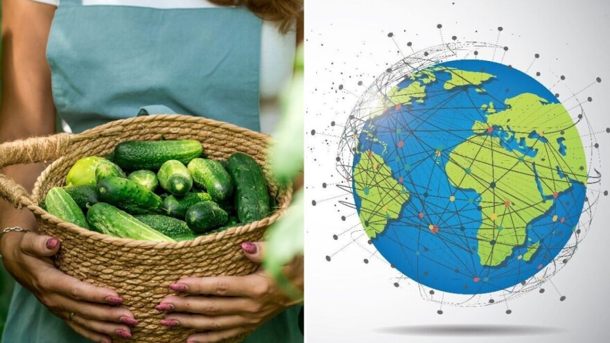 Jeli su ga Vavilonci, spominje se u Epu o Gilgamešu, a u Evropu su krastavac doneli?