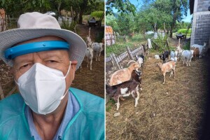Adem Salković: Veterinar koji je suzbijao bedrenicu, "ne može" brucelozu, jer sistem ne da