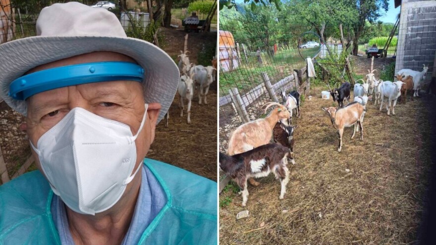 Adem Salković: Veterinar koji je suzbijao bedrenicu, "ne može" brucelozu, jer sistem ne da