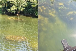 Zamućenje Une izazvalo zabrinutost: Ribolovci šalju uzorke na analizu