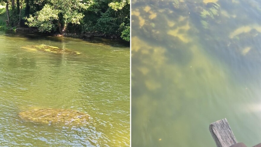 Zamućenje Une izazvalo zabrinutost: Ribolovci šalju uzorke na analizu