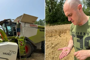 Ministar Dabro sudjelovao u žetvi: Potrebna nam je suradnja i poticanje proizvodnje