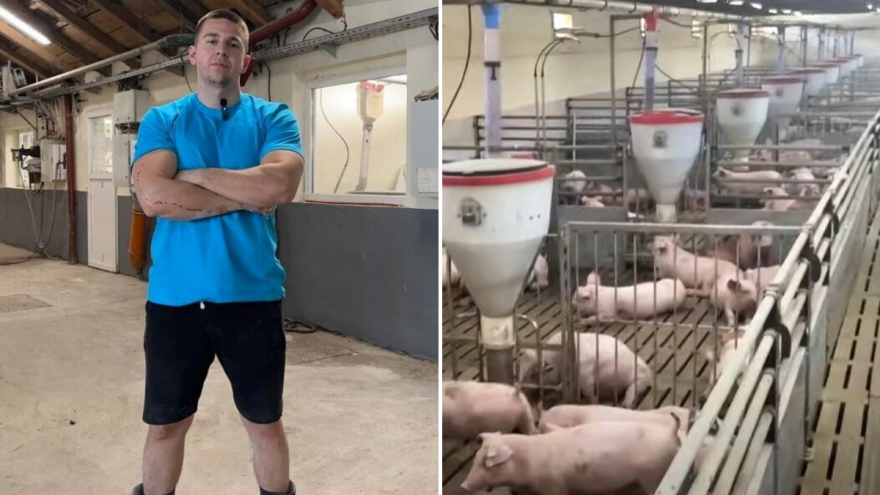 Kod farmera Stefana: Samo petoro ljudi brine o 6.000 svinja