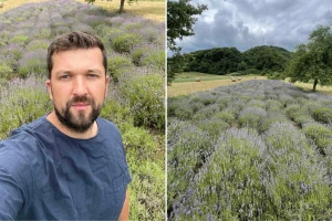 Mirisna priča agronoma Mirze Jahića: Lavanda je kod nas bila egzotika, danas je mnogi imaju