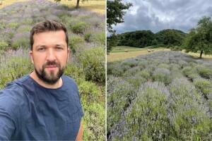 Mirisna priča agronoma Mirze Jahića: Lavanda je kod nas bila egzotika, danas je mnogi imaju