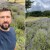 Mirisna priča agronoma Mirze Jahića: Lavanda je kod nas bila egzotika, danas je mnogi imaju