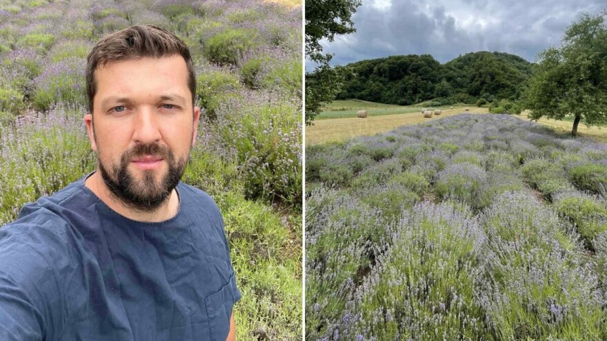 Mirisna priča agronoma Mirze Jahića: Lavanda je kod nas bila egzotika, danas je mnogi imaju