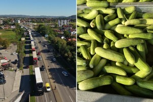 Blokade prijevoznika parališu poljoprivredu: Propast će 50 tona krastavaca, stao i otkup