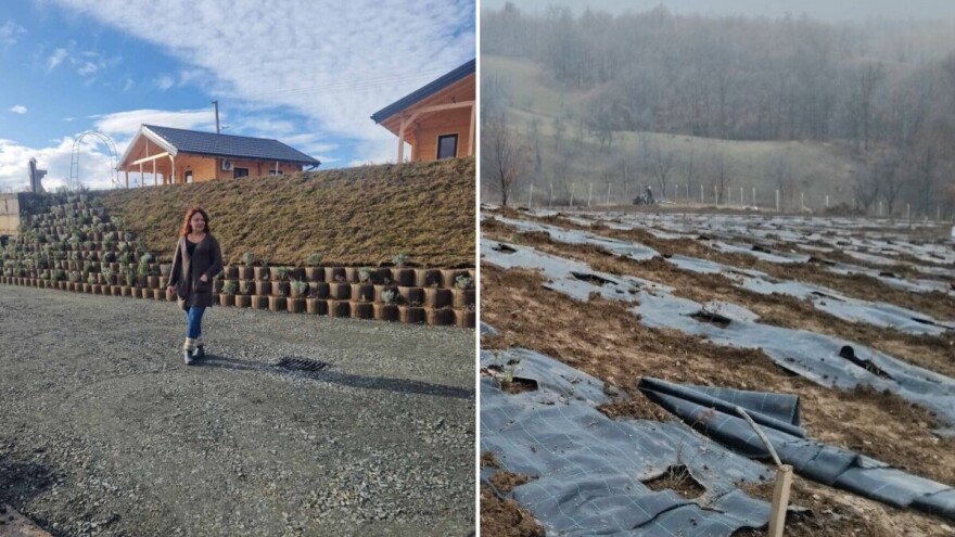 Dragana i Džejms na Kozari stvaraju raj za hedoniste: Luksuz u netaknutoj prirodi