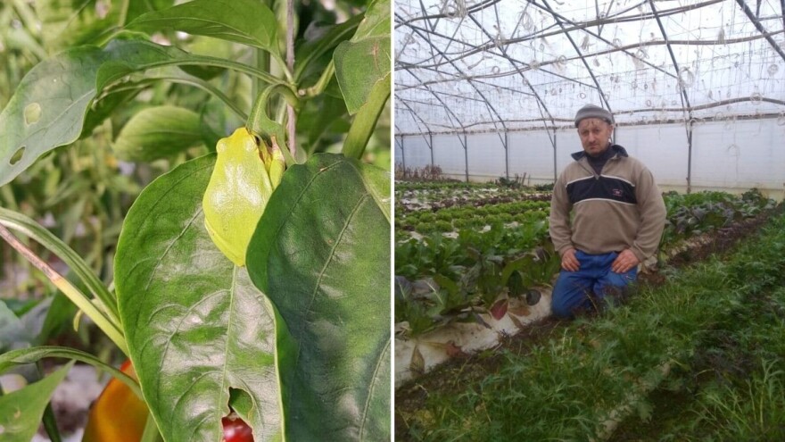 Marjan Krebs: Jednostavno sam prestao kopati, ali nisam ostavio tlo golim