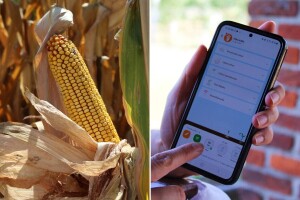 Mas Seeds predstavio besplatne aplikacije za optimalnu proizvodnju, od sjetve do žetve