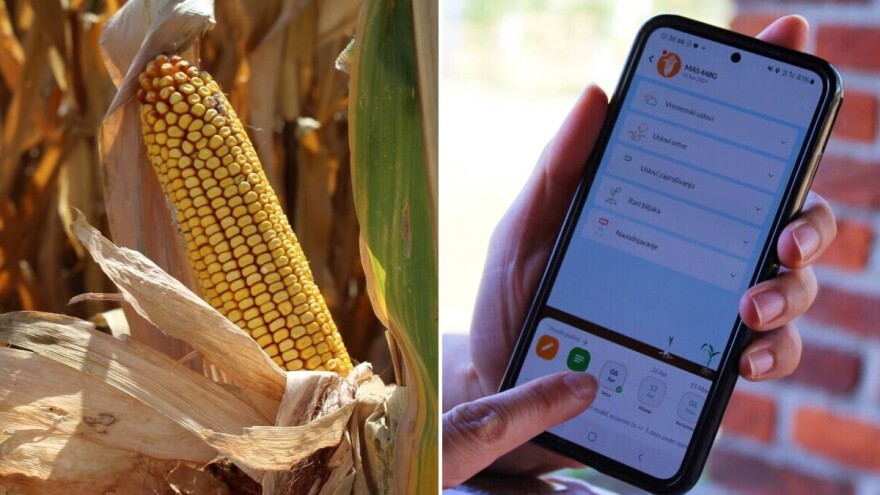 Mas Seeds predstavio besplatne aplikacije za optimalnu proizvodnju, od sjetve do žetve