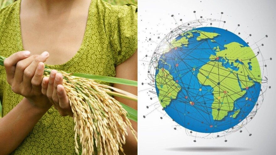 Riža - simbol plodnosti, bogatstva i sreće