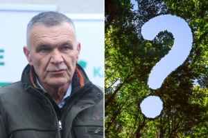 Tko će zasjesti na čelo Hrvatskih šuma?