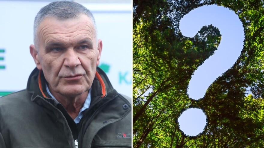 Tko će zasjesti na čelo Hrvatskih šuma?