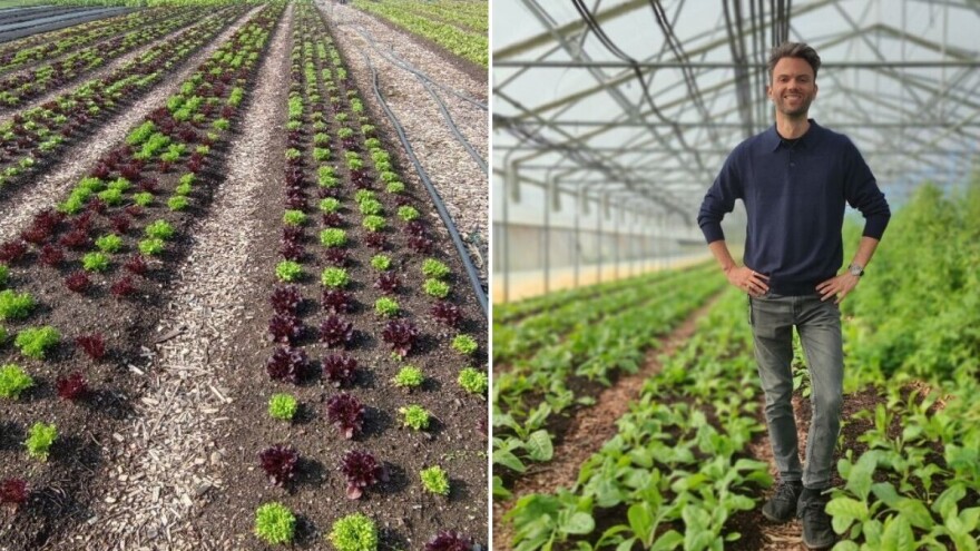 Biointenzivne gredice - manji utjecaj klimatskih promjena i veći prinos u eko proizvodnji