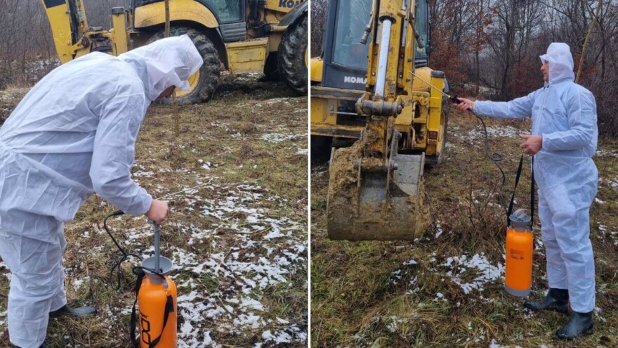 Nepropisno zbrinjavanje leševa pod istragom nakon pojave antraksa u Šipovu