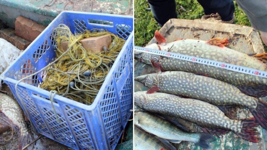 Nezakonito lovili ribu na kanalu, uhvaćeni dok su izvlačili mreže